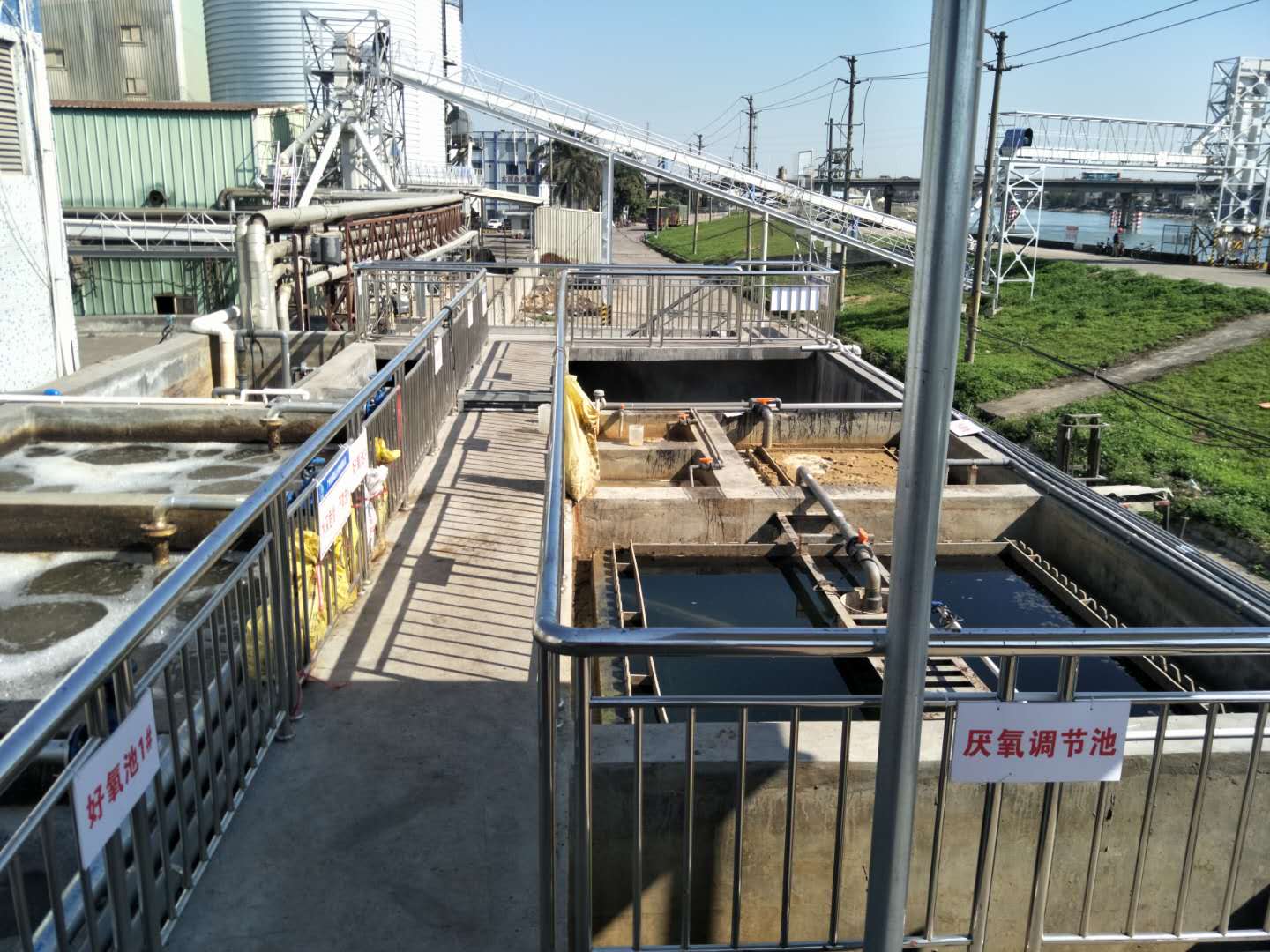 食品廢水植物處理技術，你知道嗎？